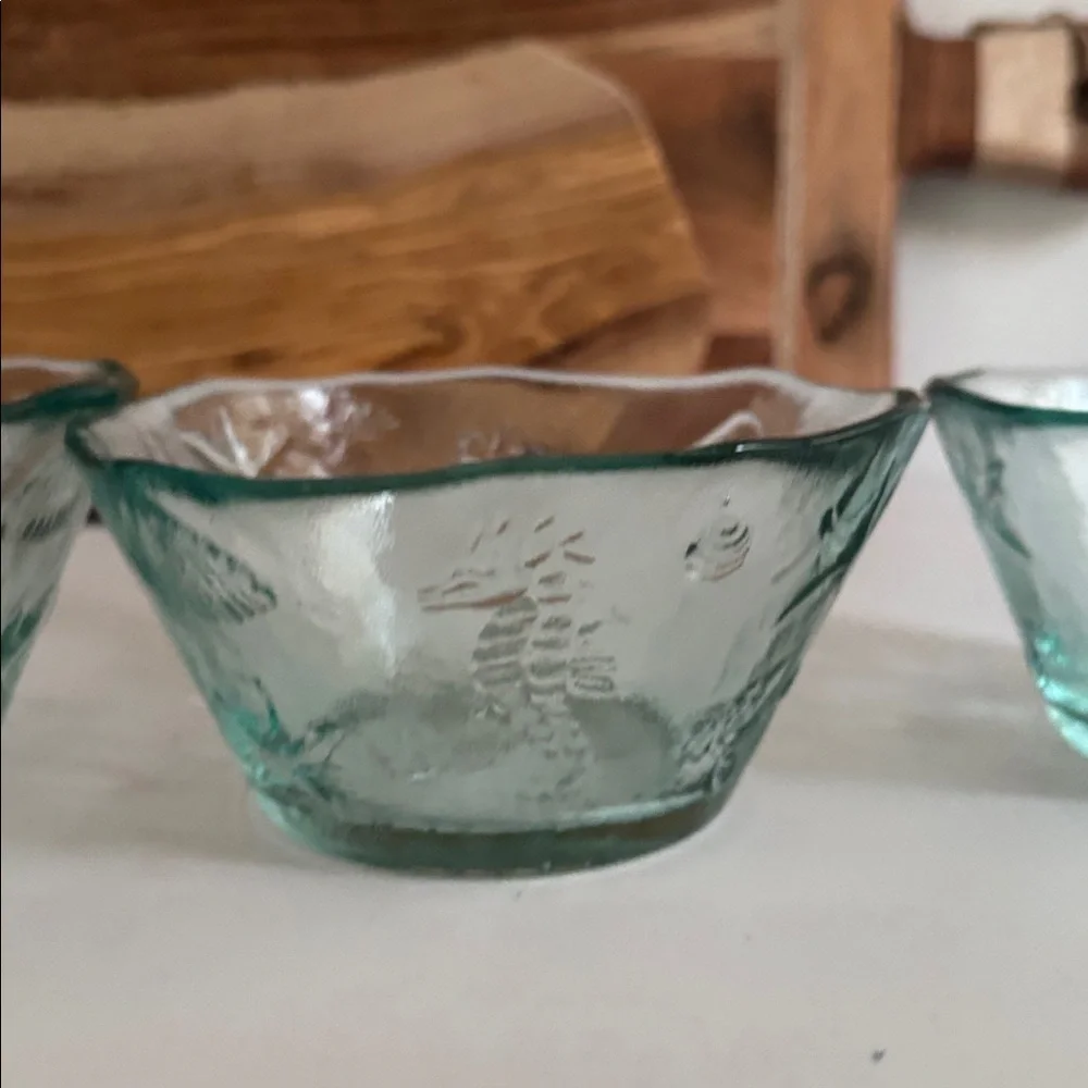 Spanish Recycled Green Glass Bowls with Coastal Theme Embossed Sea Creatures (3)